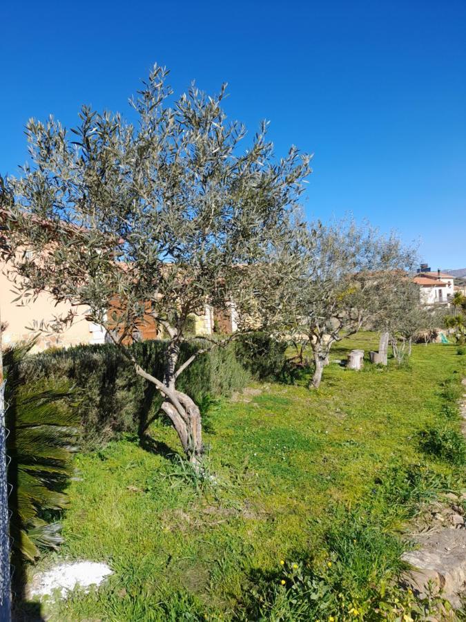 Agriturismo La Stragola Nicosia Exteriér fotografie
