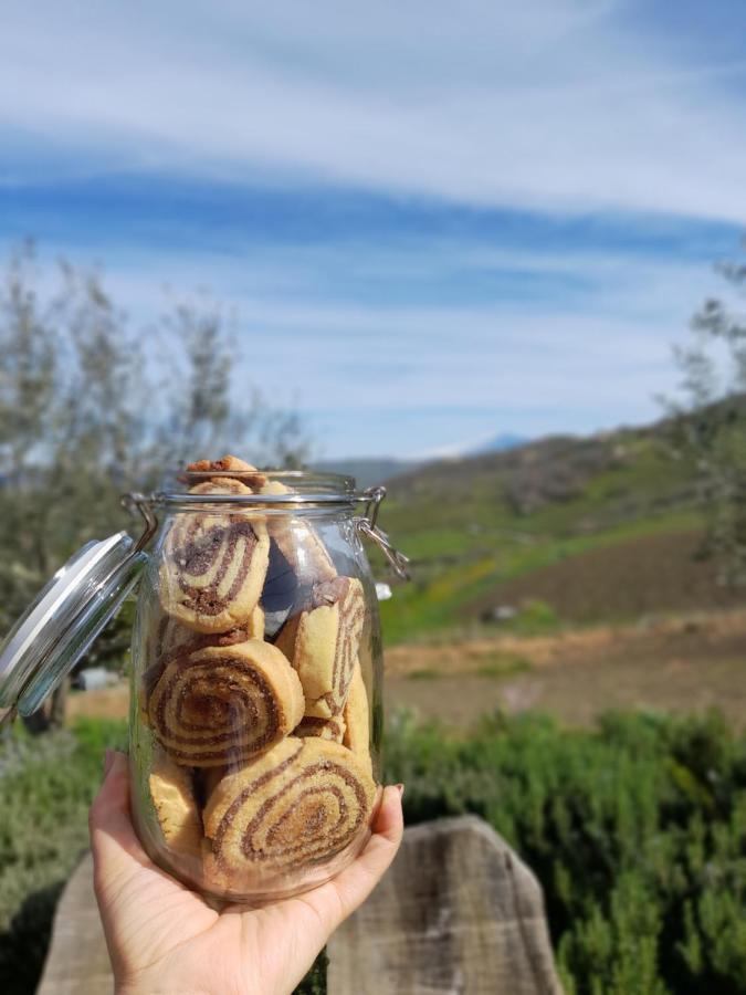 Agriturismo La Stragola Nicosia Exteriér fotografie