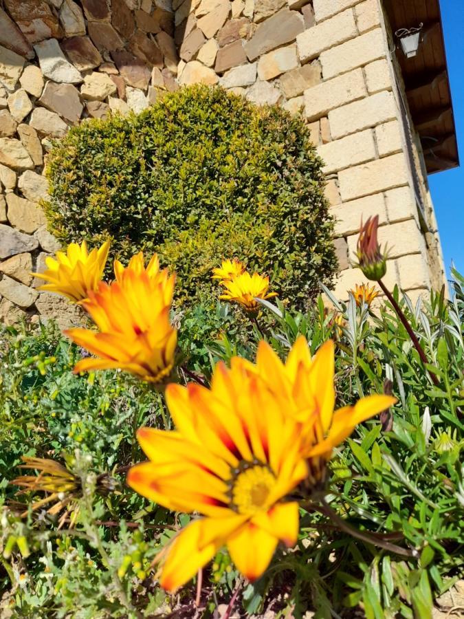 Agriturismo La Stragola Nicosia Exteriér fotografie